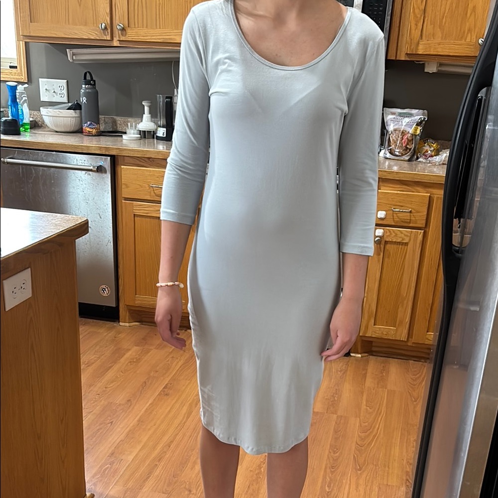 Elegant Gray Women's Dress.  Zenana Premium size L.   NWOT.